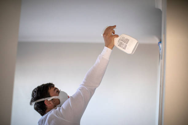 Best Mold Inspection  in Telford, PA