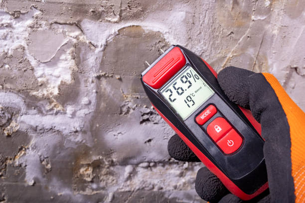 Best Mold Remediation  in Telford, PA