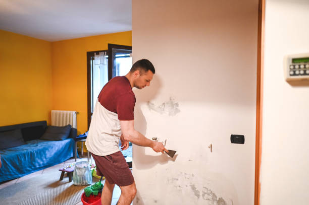 Best Local Mold Removal Service  in Telford, PA